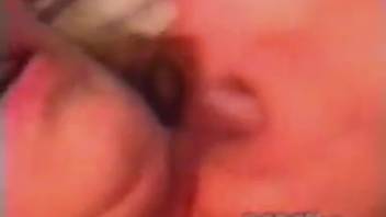 Attractive woman is giving oral to her pet's stiff penis in the bedroom