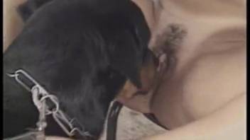 Dark-haired woman being pounded doggy style by a canine