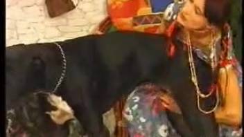 Mischievous whore has her cunt stretched by the lustful canine