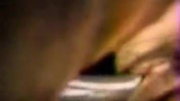 Intense sex session featuring numerous animals
