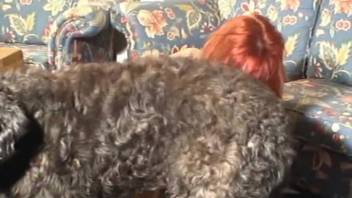 Furry guy bangs red-haired mature woman from behind in doggy style