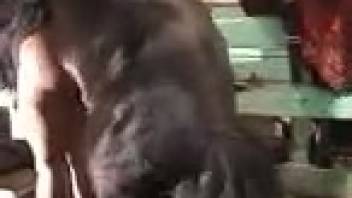 Plump short-haired woman into bestiality gets screwed by a horse