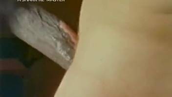 Classic animal-human intercourse film featuring aroused canines and women