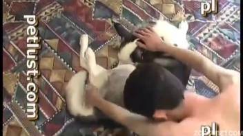 Attractive husky is being deeply penetrated in the missionary position.