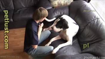 White speckled dog screws a youthful guy in doggy position because he adores it