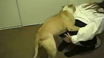 Fair-haired woman in monochrome attire relishes intense animal sex