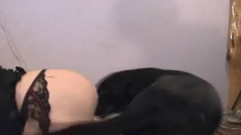 Effeminate guy with a furry boy hole gets pounded by a canine