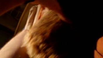 Guy fucks beast from the rear in detailed zoophilia clip