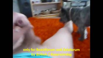 Guy has his butthole rimmed and screwed by a small female dog