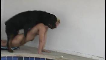 Gorgeous blond woman and huge ebony canine are having sex in the doggy position