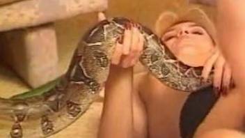 Snake