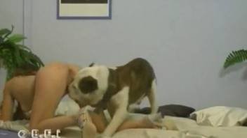 Naked woman fills her vagina and mouth with delicious canine penis