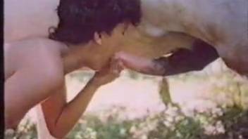 Brunette hottie double-penetrated in a video featuring a horse