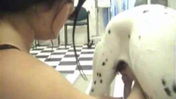 Dark-haired woman stroking the beast's penis in a complimentary adult film sequence