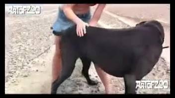 Sexy masked babe loving rough animal sex in the wild outdoors