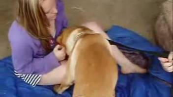 College student opts to be penetrated by an aroused canine