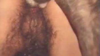 Savage animal sex group bang with hung canines and extras
