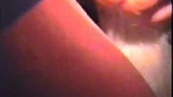 Steamy mare's vagina being pounded roughly doggy style