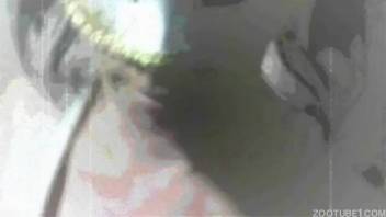 Attractive married woman's vagina being deeply pounded by a dog