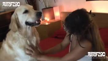 Busty Latin woman screwed by a canine in a motel suite