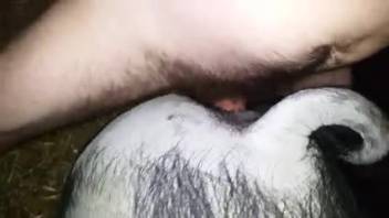 Hot dude screwing a pale creature live on webcam