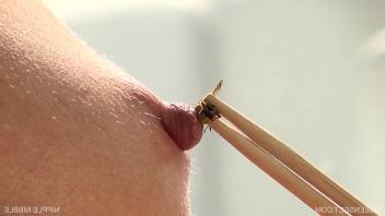 Fair-haired woman with perky nipples messing around with a bee