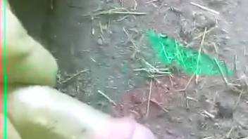 Excited guy deeply penetrates his pet and ejaculates inside her