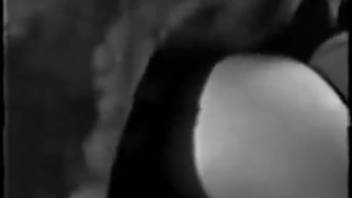 Black and white adult film featuring a canine-obsessed bestiality enthusiast whore