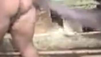 Alluring stallion directs his cock into an extremely narrow opening