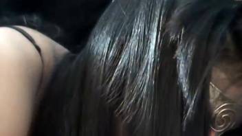 Memorable bestiality adult film featuring a long-legged dark-haired woman