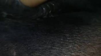 Female horse's vagina being stimulated by fingers in a steamy adult film