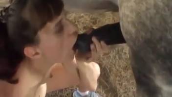 Skinny novice lady with tiny boobs in her debut online animal sex session