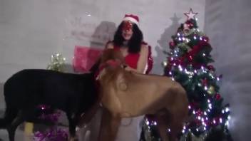 Red-masked hottie banging a pair of dogs during Christmas