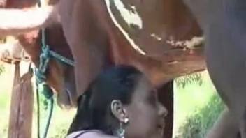 Hispanic lady performs oral on massive equine penis in superb outdoor adult scene
