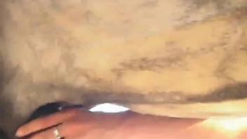 Ponytail-wearing babe displaying her craving for massive equine cocks