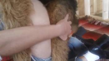 Sexy babe with torn jeans being screwed by a tiny pup
