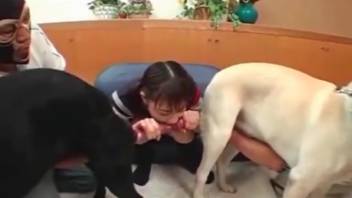 Japanese teen girl manages two canine penises at the same time
