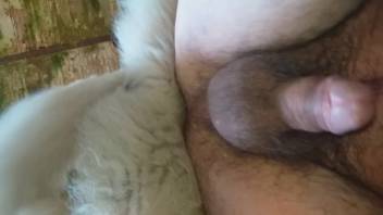Bushy butthole of a lustful dude is pounded doggy-style