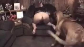 Curvy mature mom with a large rear and a skilled pitbull having sex doggy-style