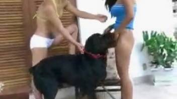 A stunning black-haired beauty delivers an exquisite oral performance to a mysterious dark dog.